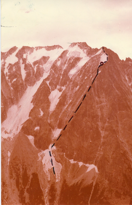 Punta Adami