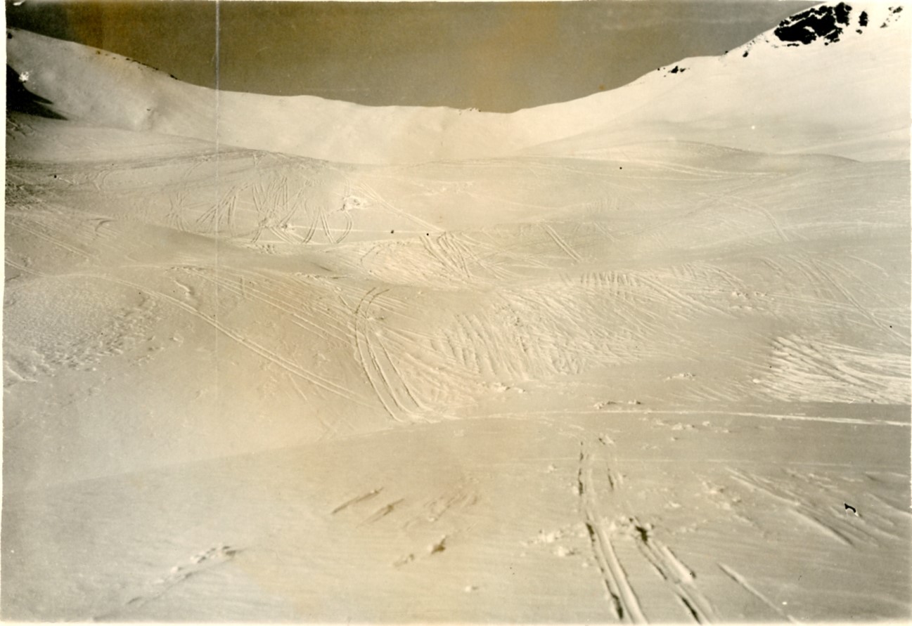 Tonale