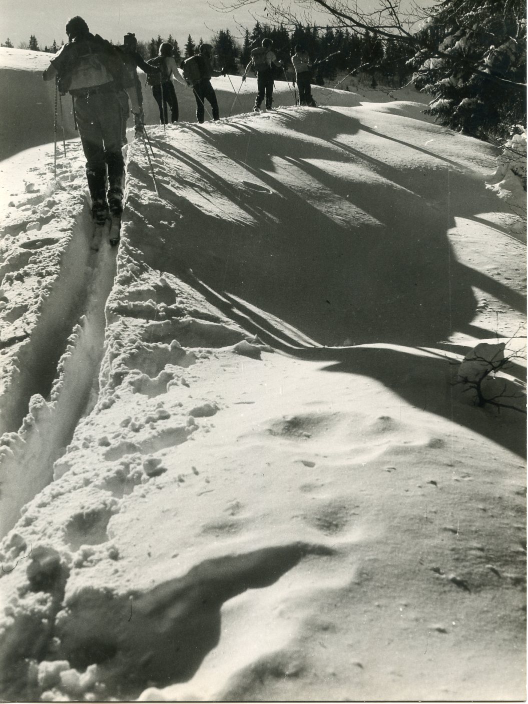 Scialpinisti