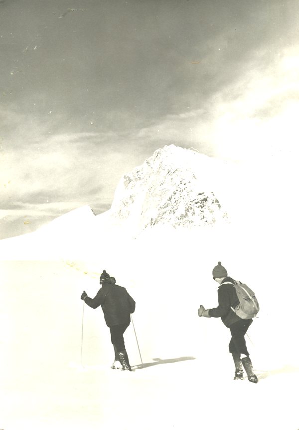 Adamello - Pian di neve
