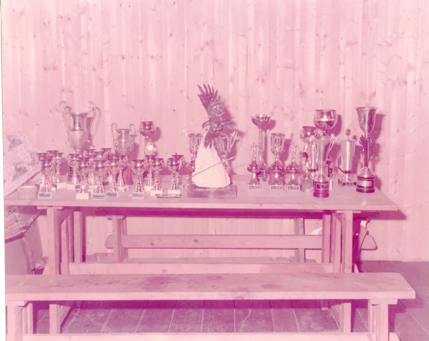 Foto premiazioni