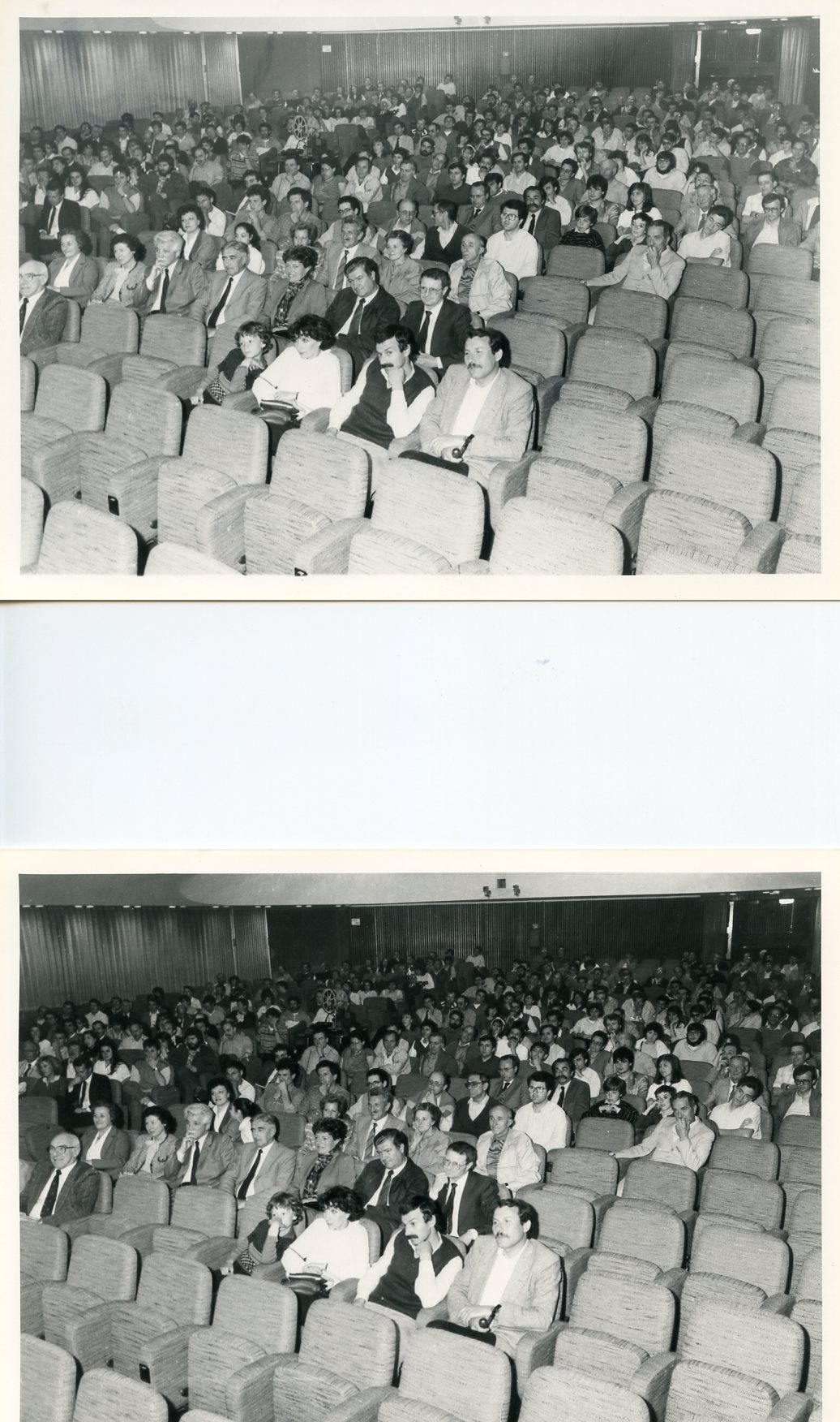 Foto assemblea