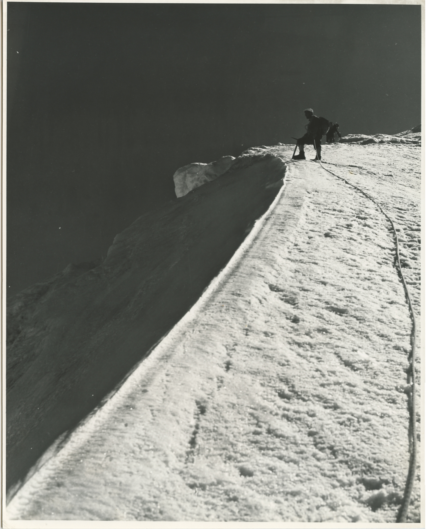 Alpinisti