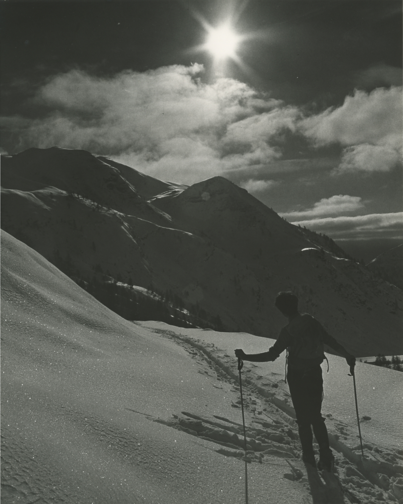 Scialpinista