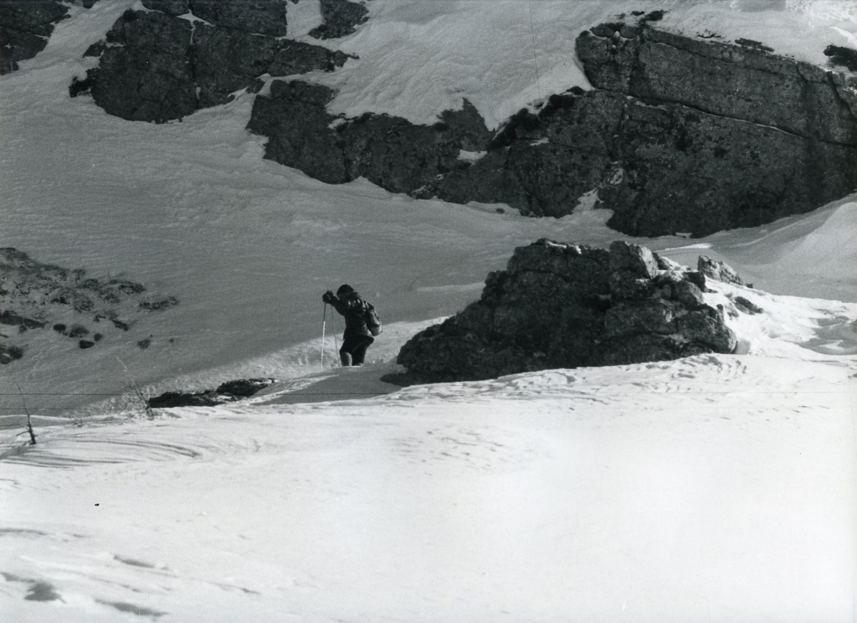 Scialpinista