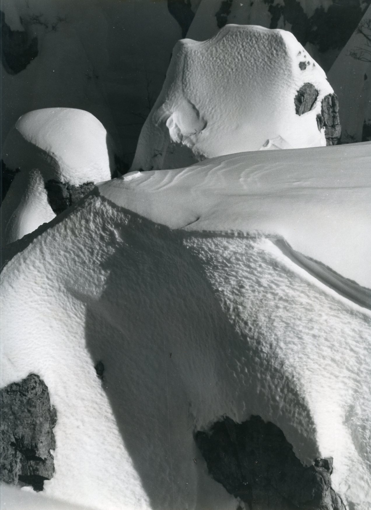 Cucuzzoli innevati