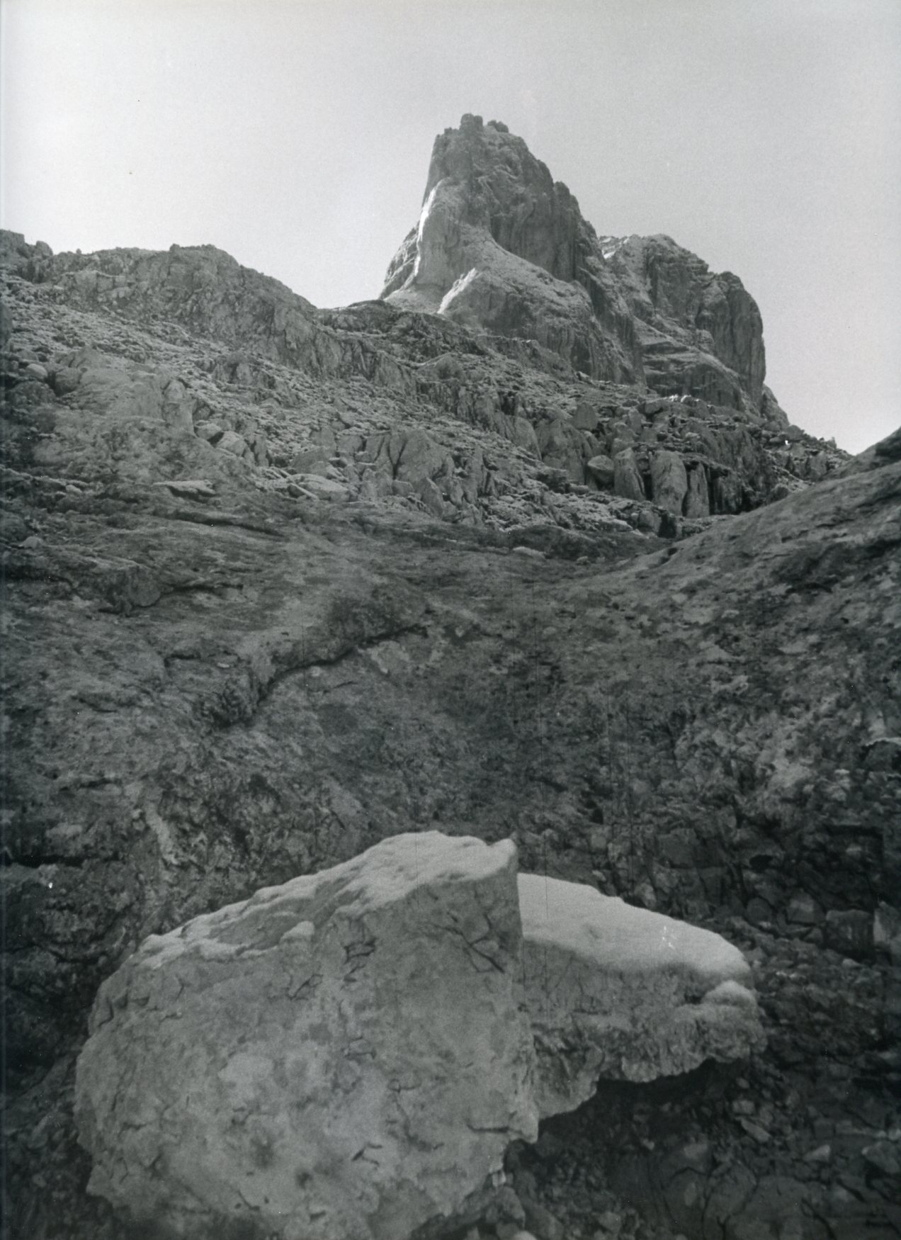 Dolomiti