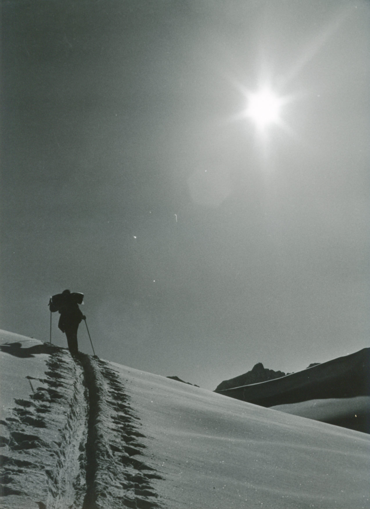 Scialpinista